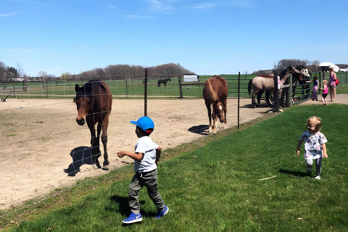 Lansing Spring Break MSU Horse Barns
