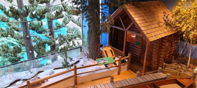 Michigan History Center logger display birds eye (1)