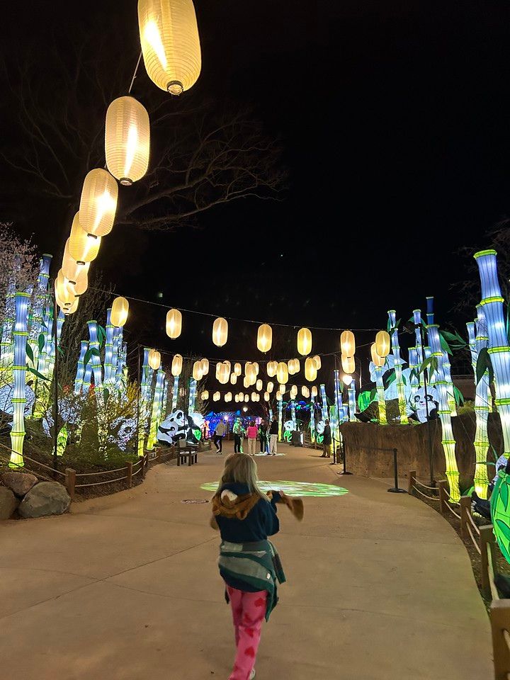 Grand Rapids Lantern Festival 2024 pathway