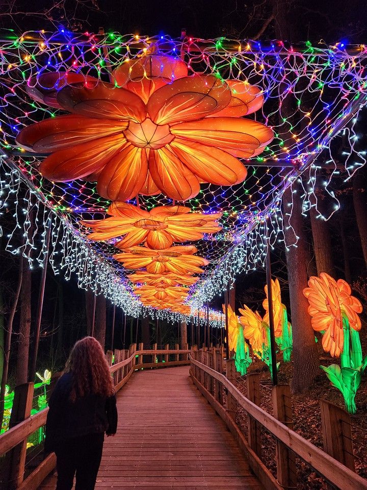 Grand Rapids Lantern Festival 2024