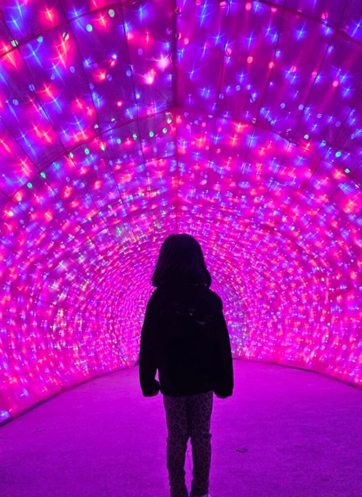 JBZ Lantern Festival shark Tunnel