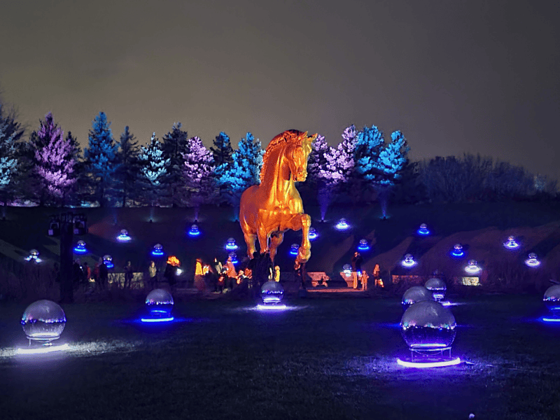 Meijer Gardens ENLIGHTEN American Horse Grand Rapids Light Show