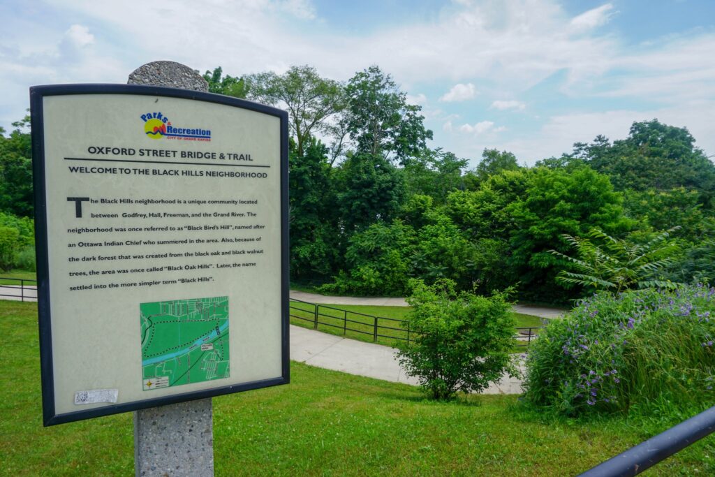 Progressive Companies Design