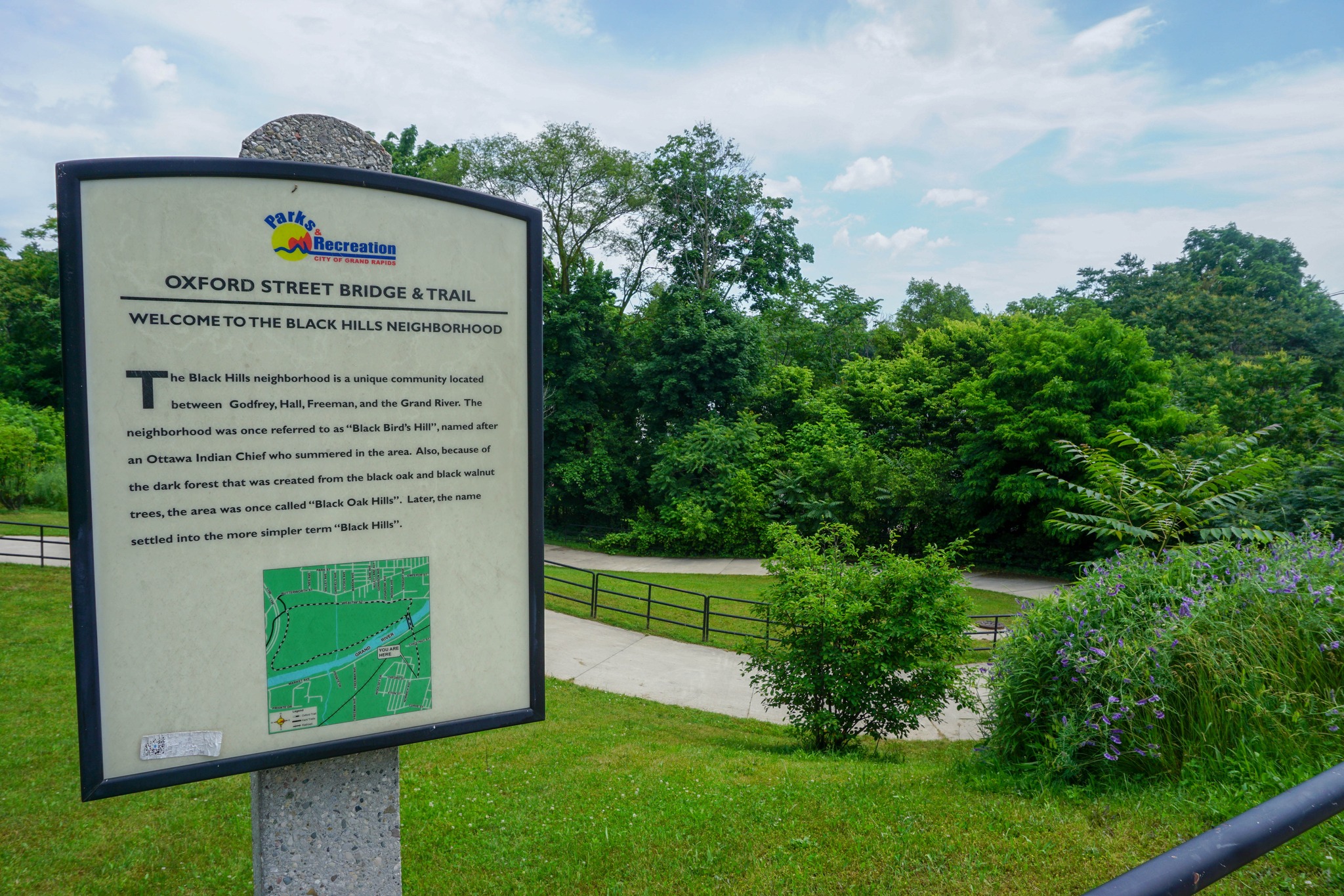 Progressive Companies Design