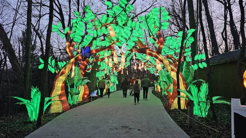 Lantern Fest 2025 smugmug Walkway