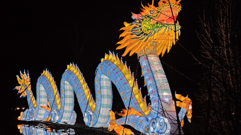 Lantern Fest 2025 smugmug dragon
