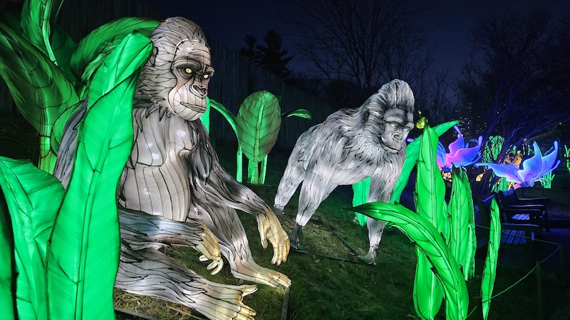 Lantern Fest 2025 smugmug