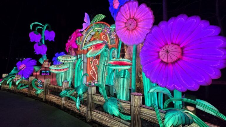 Lantern Festival 2026 fairy adventure after dark Veriezma