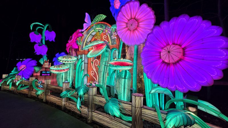 Lantern Festival 2026 fairy adventure after dark Veriezma