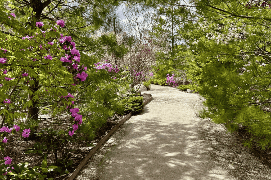 Frederik Meijer Gardens Japanese Garden in the Springtime