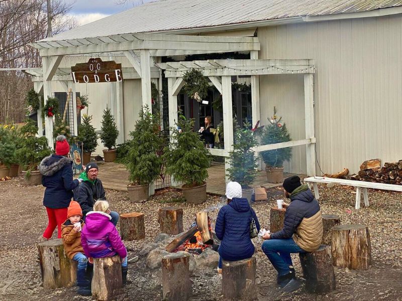 Old-Grove-Christmas-Tree-Farm-Caledonia-Bonfire