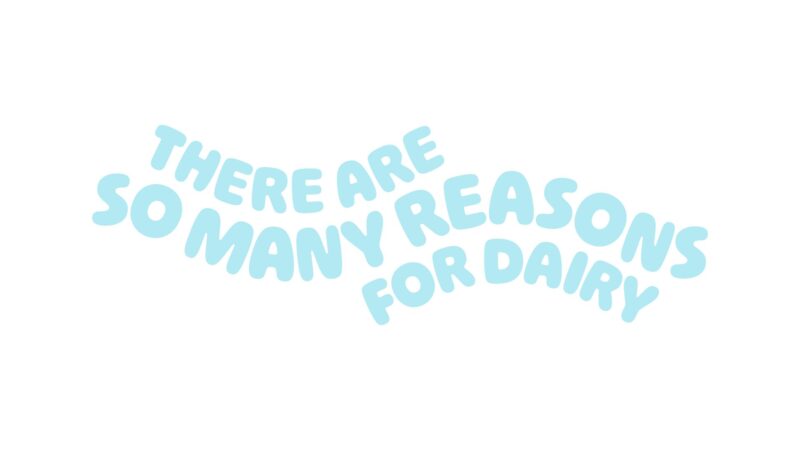 United Dairy slogan