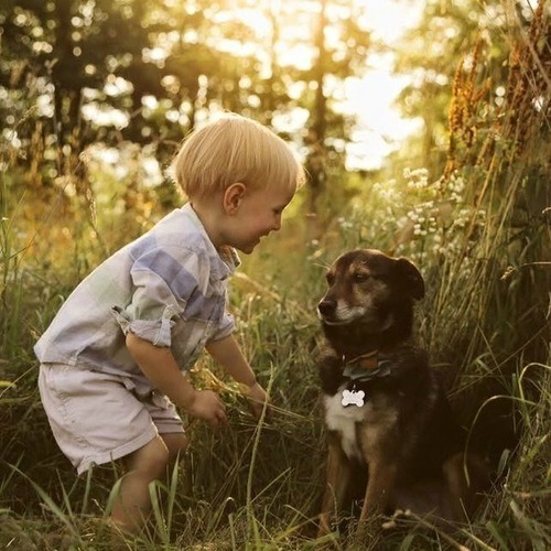 boy with dog field