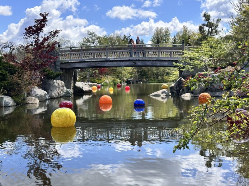 Chihuly Glass Japanese Garden at Frederick Meijer Gardens