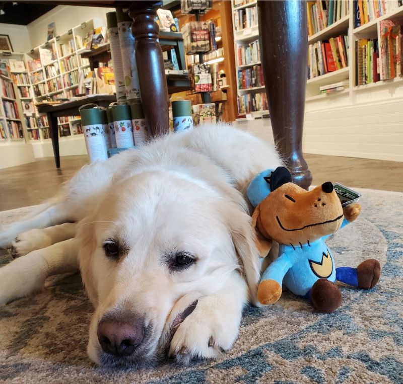 Tommy The Bookstore Dog Epilogue Books