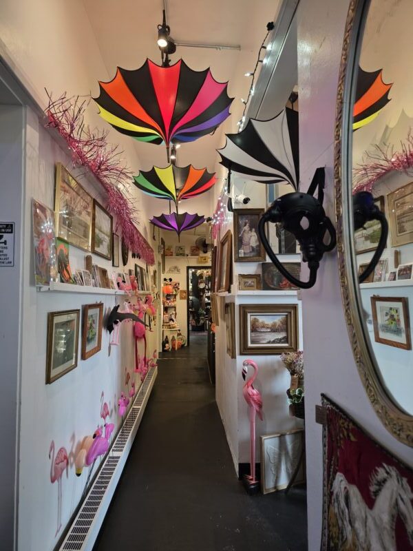 Umbrellas Ravens Antiques Grand Rapids 1