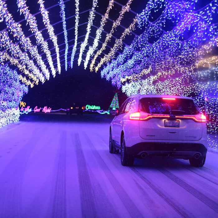 christmas lite show (1) (1)