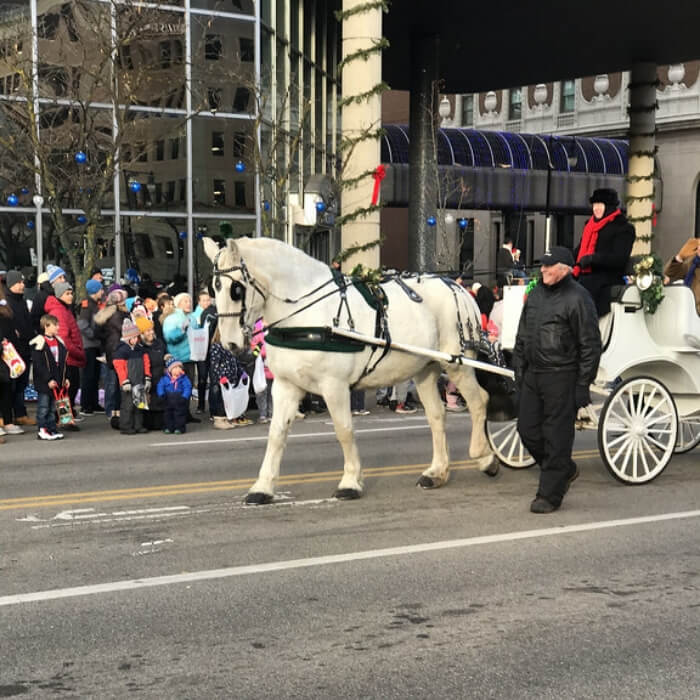 holiday carriage rides (2) (1)