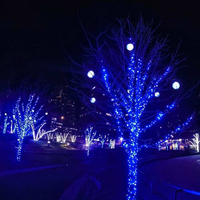 rosa parks circle lights