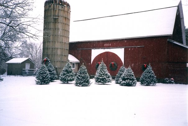 Map of Christmas Tree Farms near Grand Rapids - Where to Cut Your Own - Hey Grand Rapids
