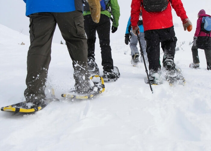 blandford snow shoe with your sweeting (1)
